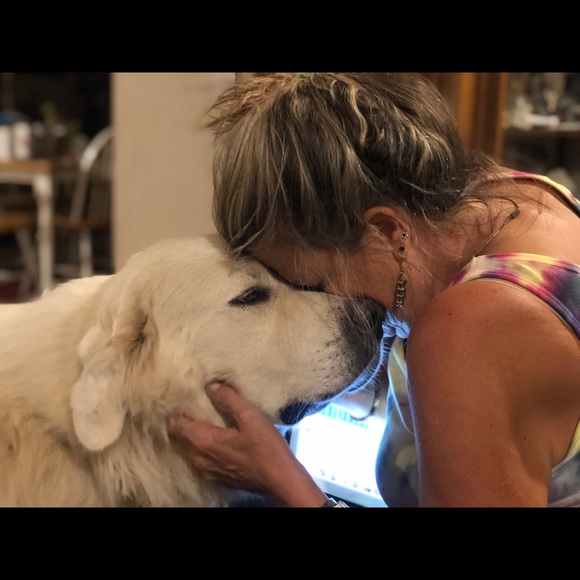 Meet your Posher, Sherry - Picture 4 of 8